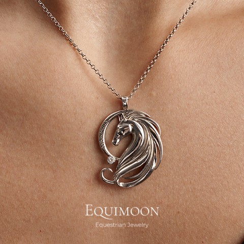 Подвеска Valorr с фианитом серебро EQUIMOON